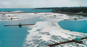 Pond, lake oxygenation, aeration
