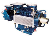 Oil free screw compressor